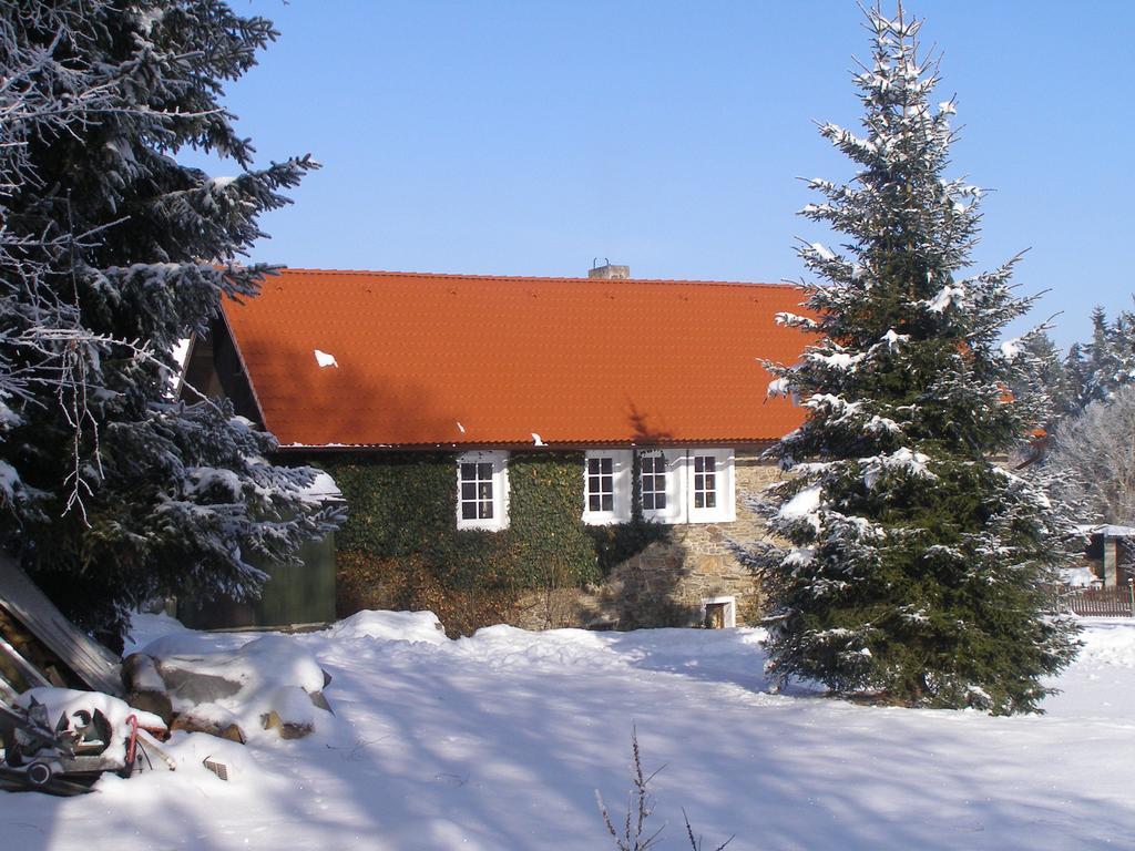 Apartman Dvorecna Loučovice الغرفة الصورة