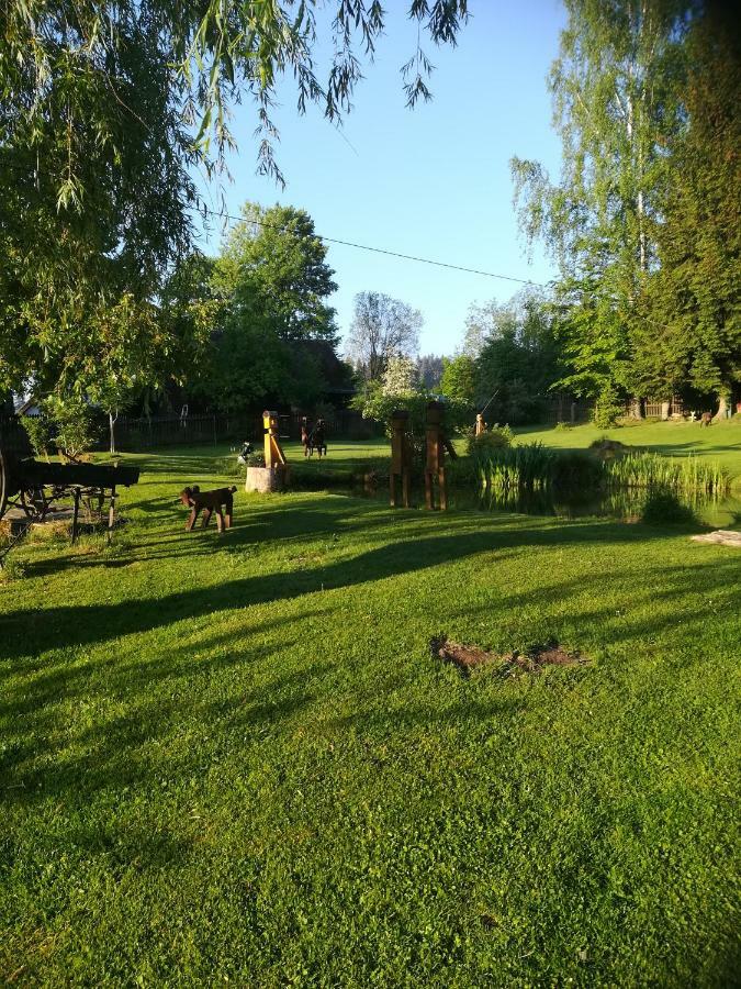 Apartman Dvorecna Loučovice المظهر الخارجي الصورة